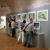 Exposition 2017 (10)